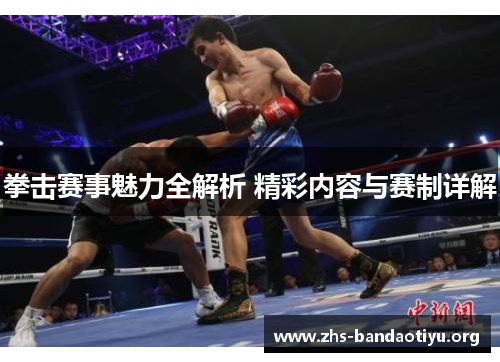 拳击赛事魅力全解析 精彩内容与赛制详解