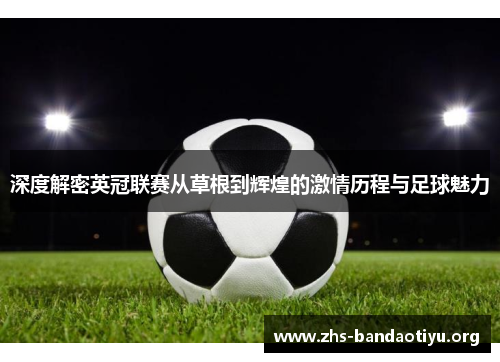 深度解密英冠联赛从草根到辉煌的激情历程与足球魅力